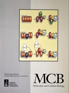 Publications Cover - Molecular and Cellular Biology