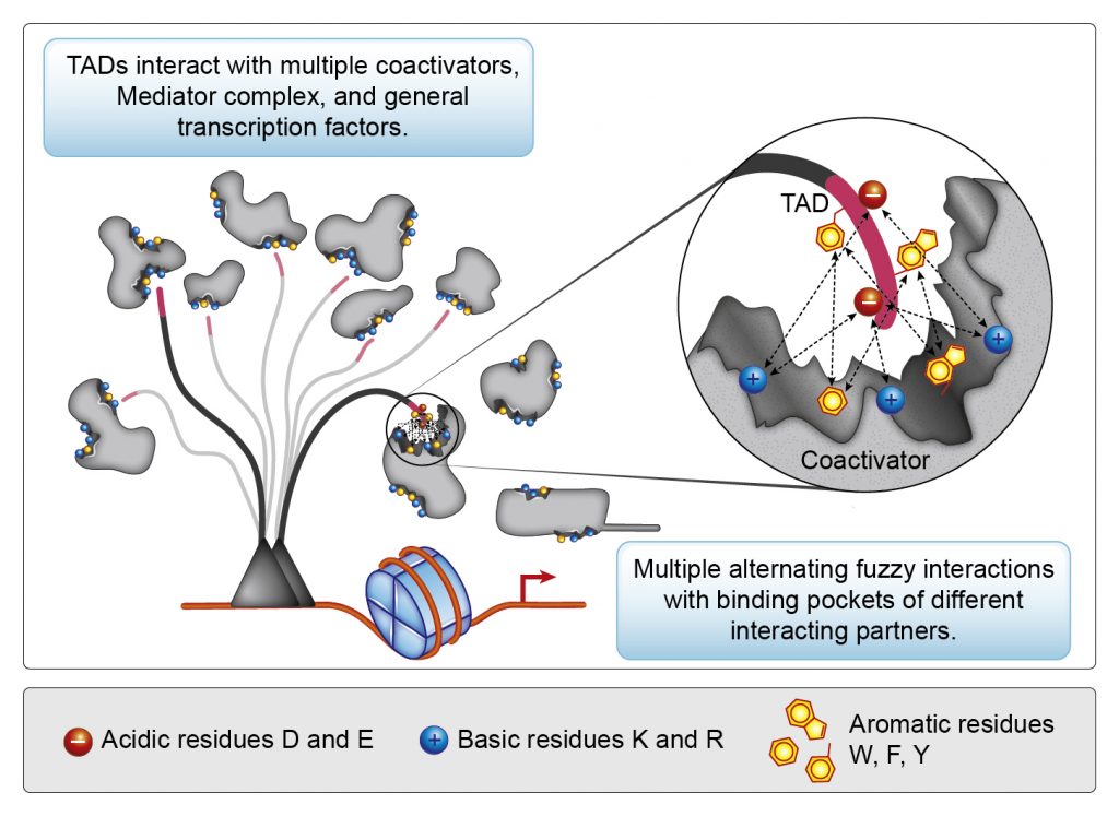 Visual representation of old textbook model