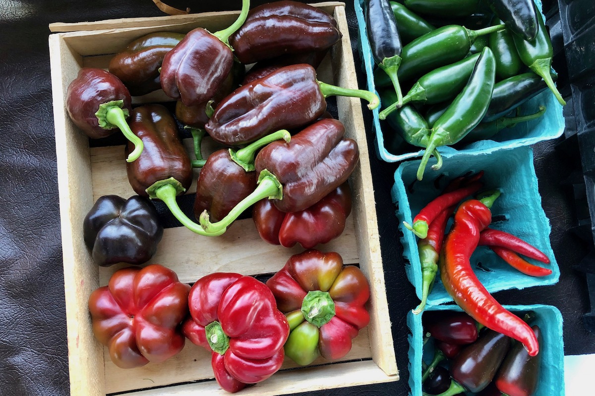 ASSORTED PEPPERS: At the Farm Stand, you can pick up familar bell peppers and jalepeños, or try something new.