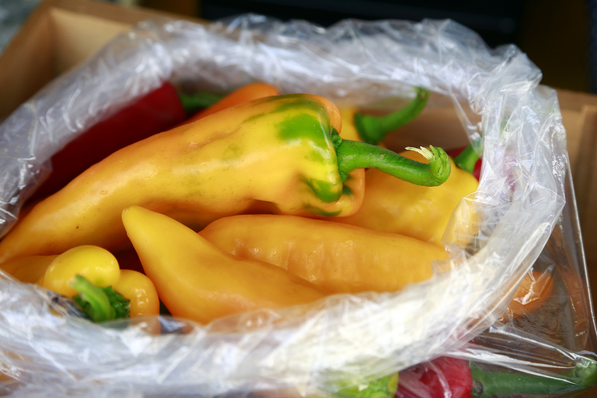 FRESH PEPPERS: The Farm grows several varieties of both bell peppers and hot peppers.