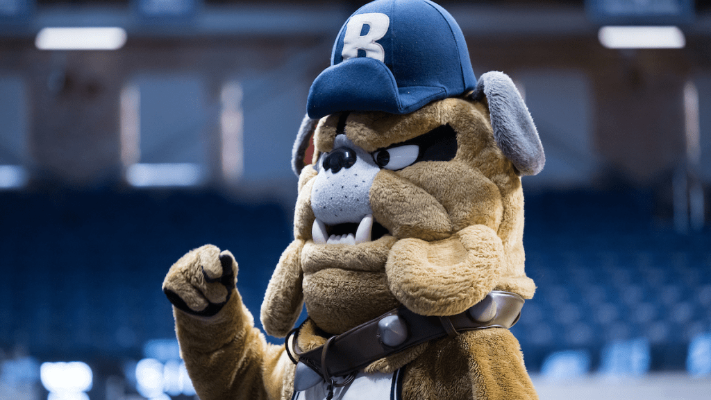 Fur mascot bulldog