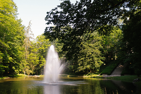 rising fountain in small pond surrounded by trees