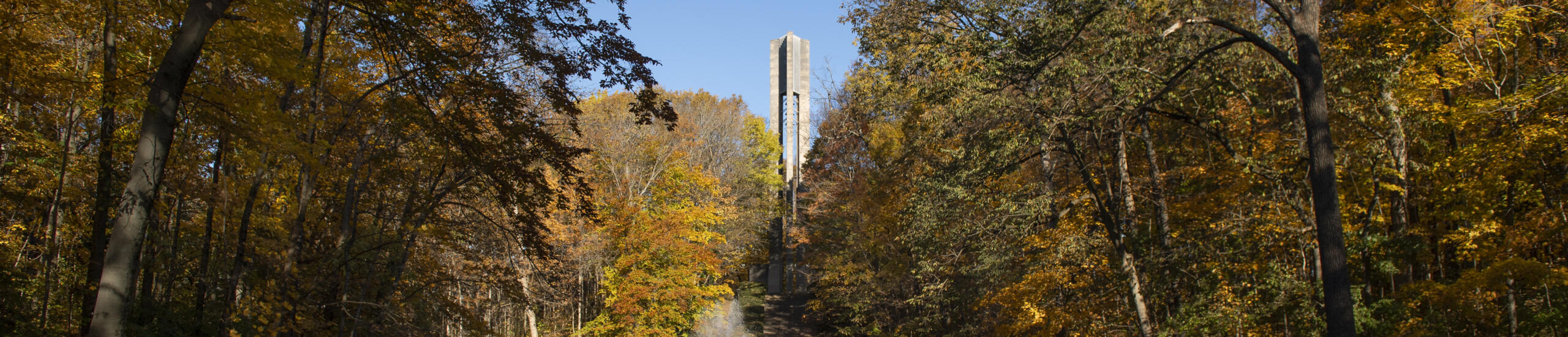 trees in fall colors with carillon in the background