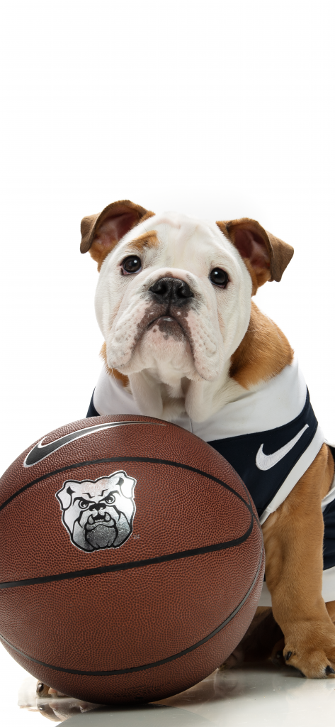 Bulldog in blue and white jersey with large B on it with a basketball that has the Butler Bulldog logo on it.