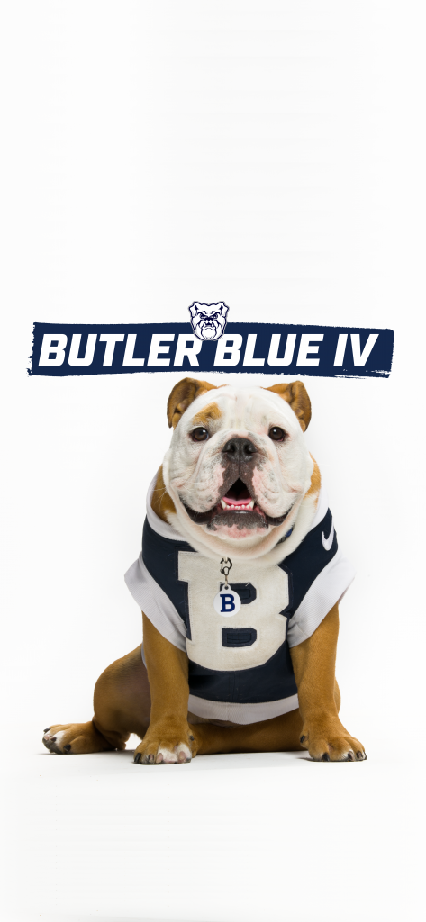 Bulldog in blue and white jersey with large "B" on it with "Butler Blue IV" labeled above.