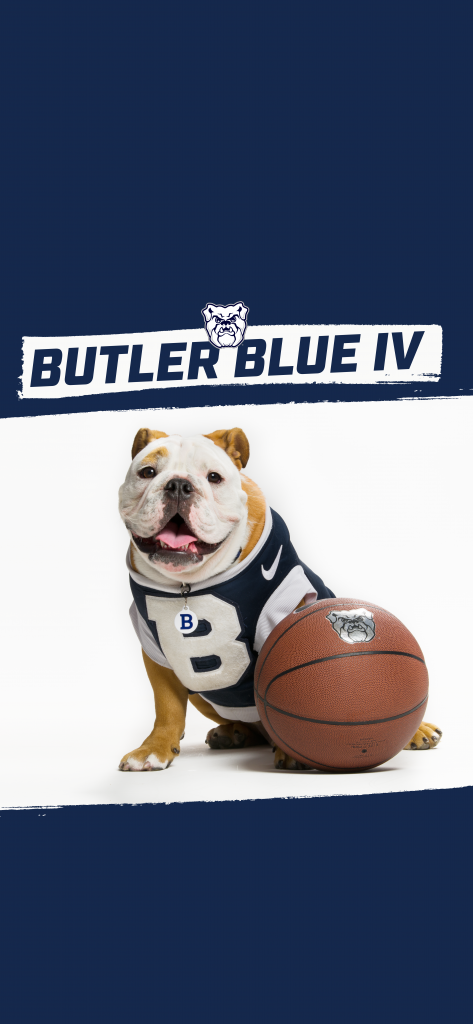 Bulldog in blue and white jersey with large "B" on it with a basketball and the name "Butler Blue IV" above them.