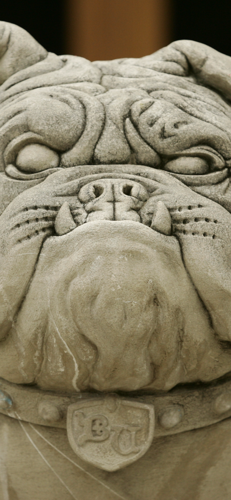 Close-up of stone bulldog statue