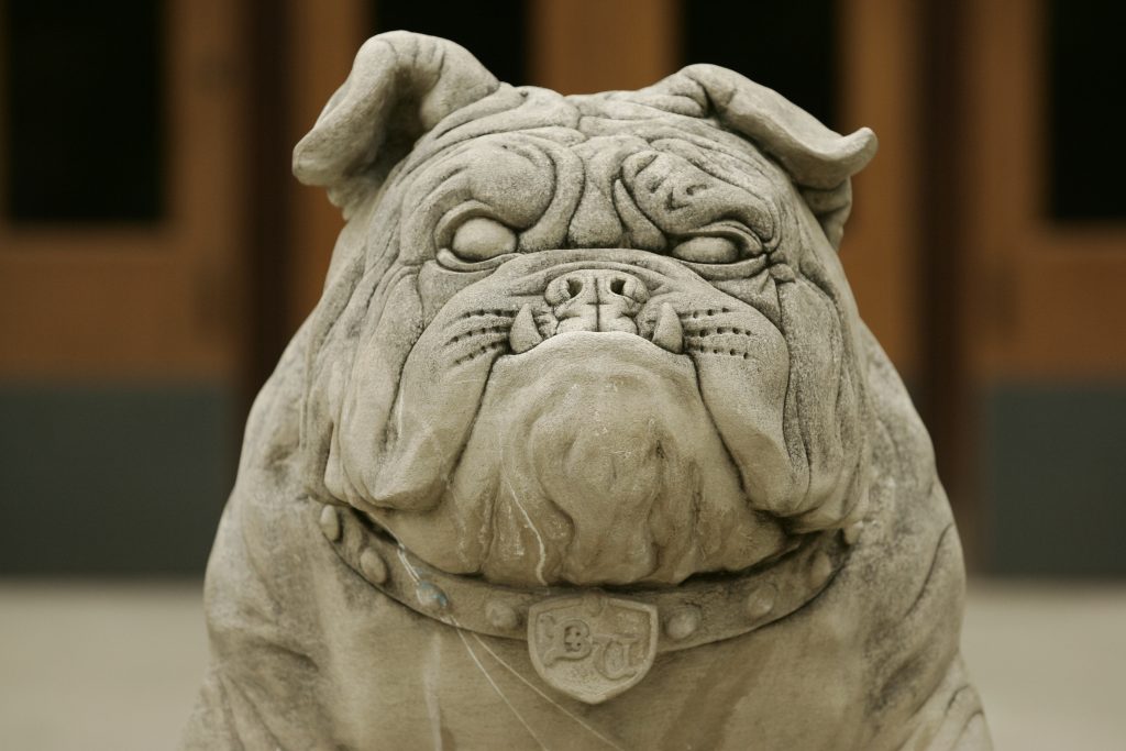 Head of stone bulldog statue.
