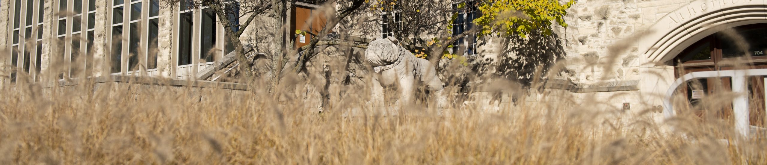 Stone bulldog statue stands in front of campus building.