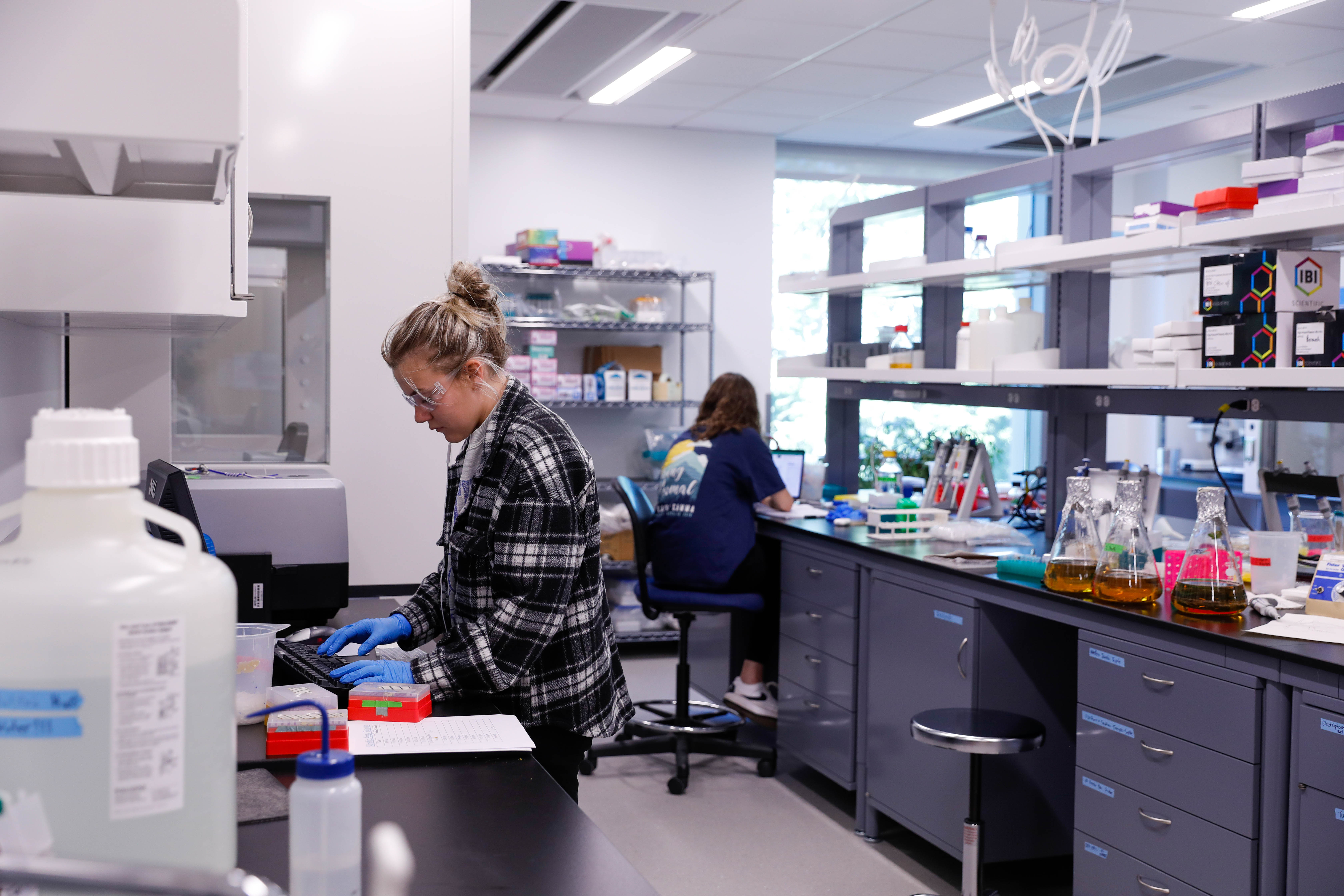 Students working in a lab