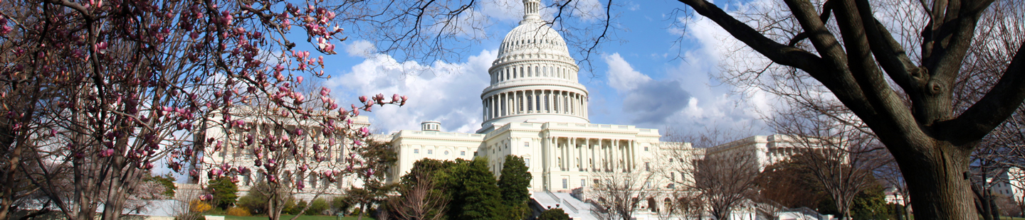U.S. Capitol