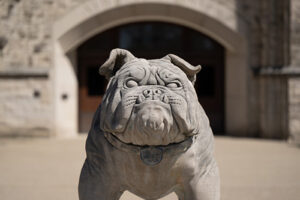 Stone bulldog statue facing forward in front of limestone building.