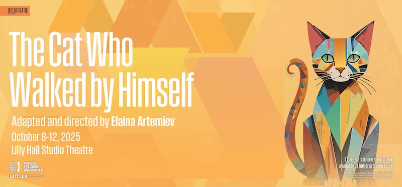 The Cat Who Walked by Himself theatre production poster