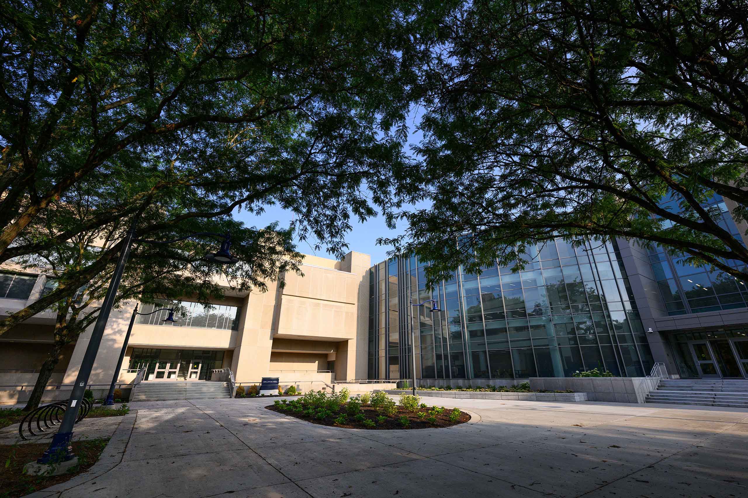 Courtyard sidewalk with large shade trees in front of Butler's Science Complex with large wall of windows.