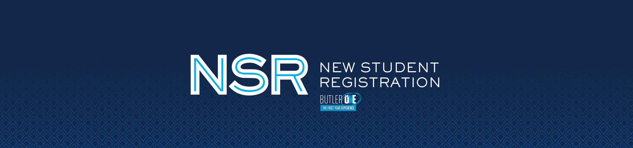 NSR website hero image