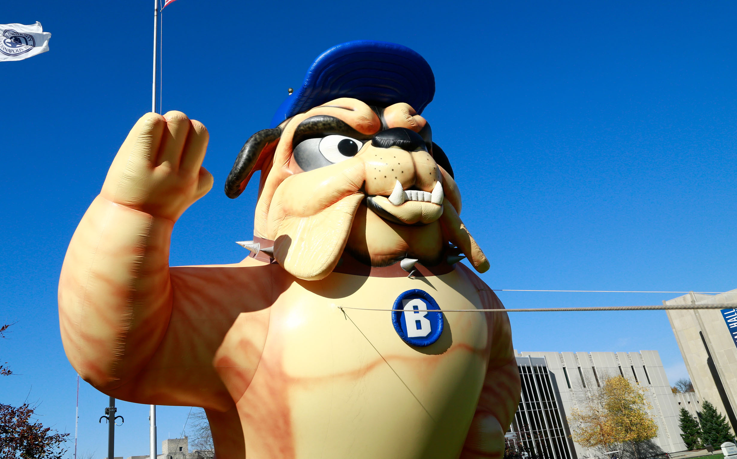 Giant inflatable bulldog with ballcap and a blue letter "B" on its chest waves to campus visitors.