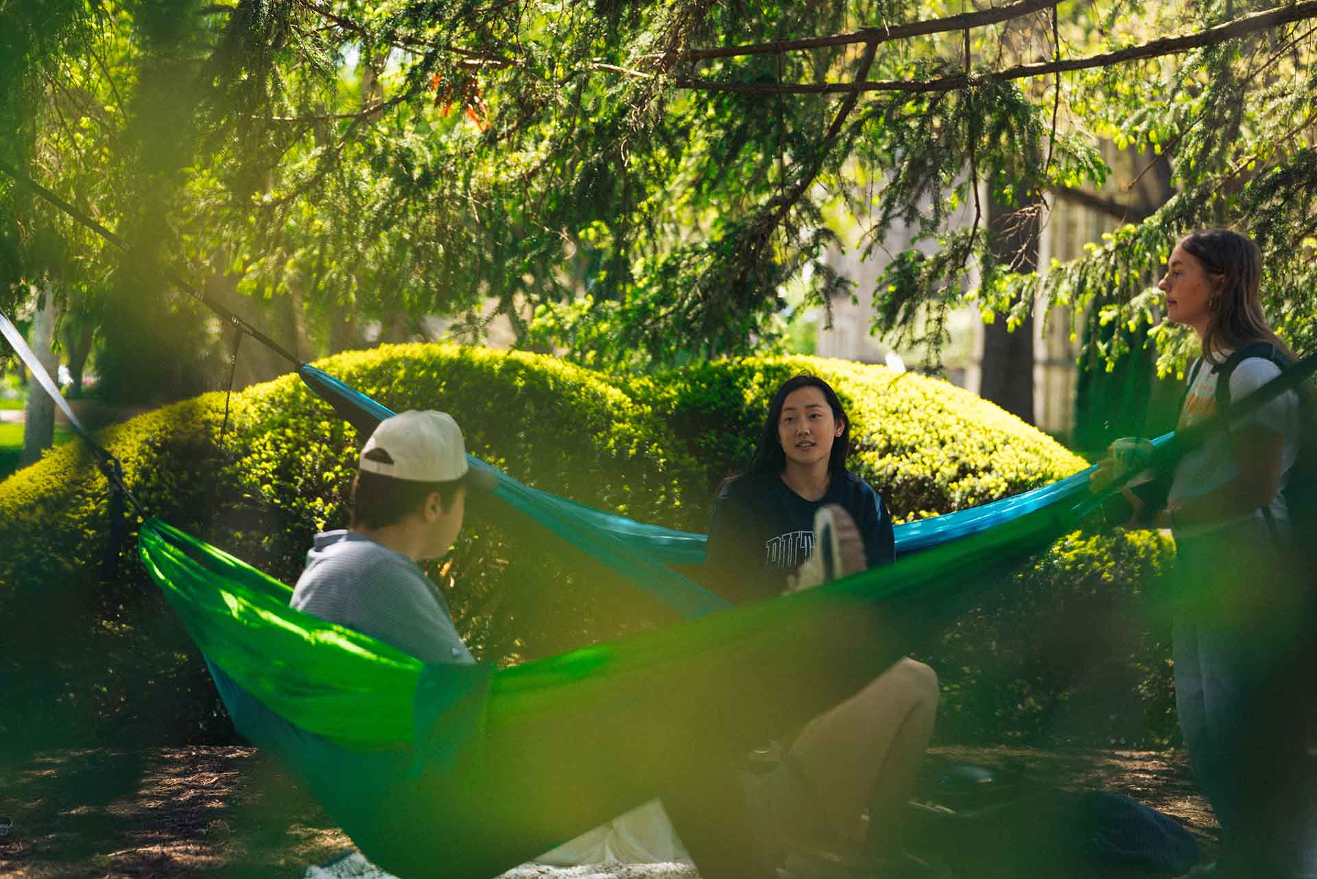 Two college students have a conversation while sitting up in their hammocks.