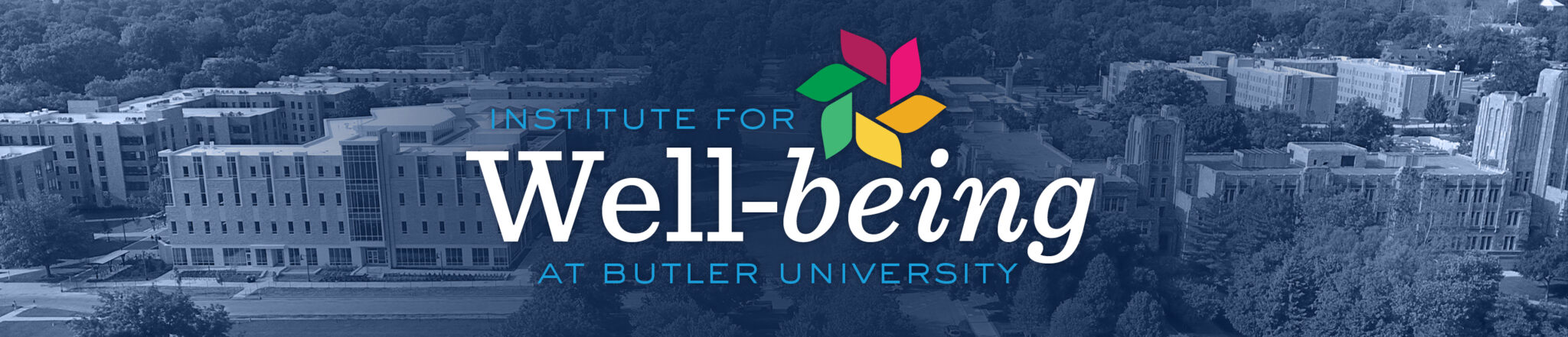 institute for well-being logo