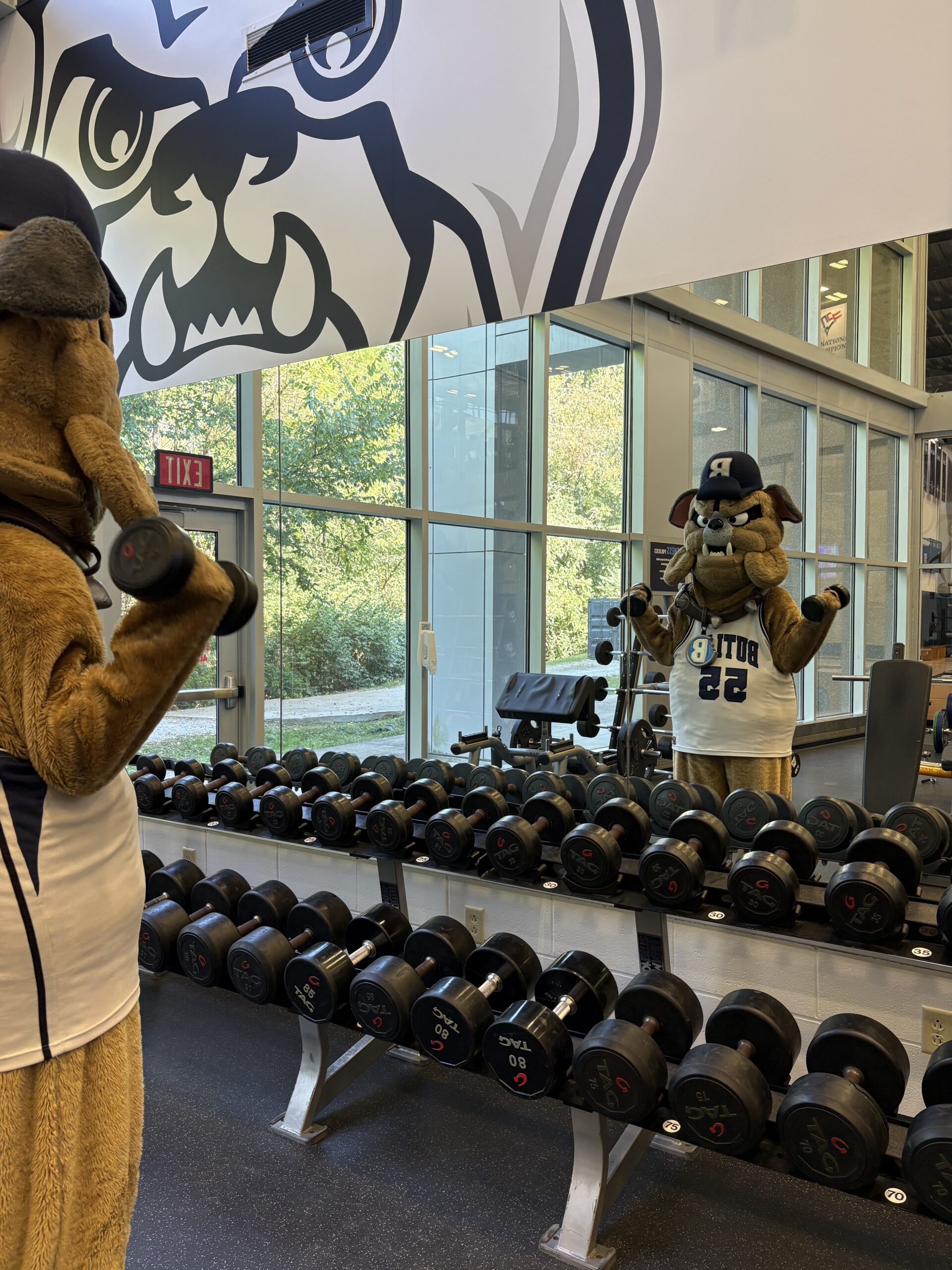 This is a photo of Hink the mascot standing in front of a mirror lifting free weights.