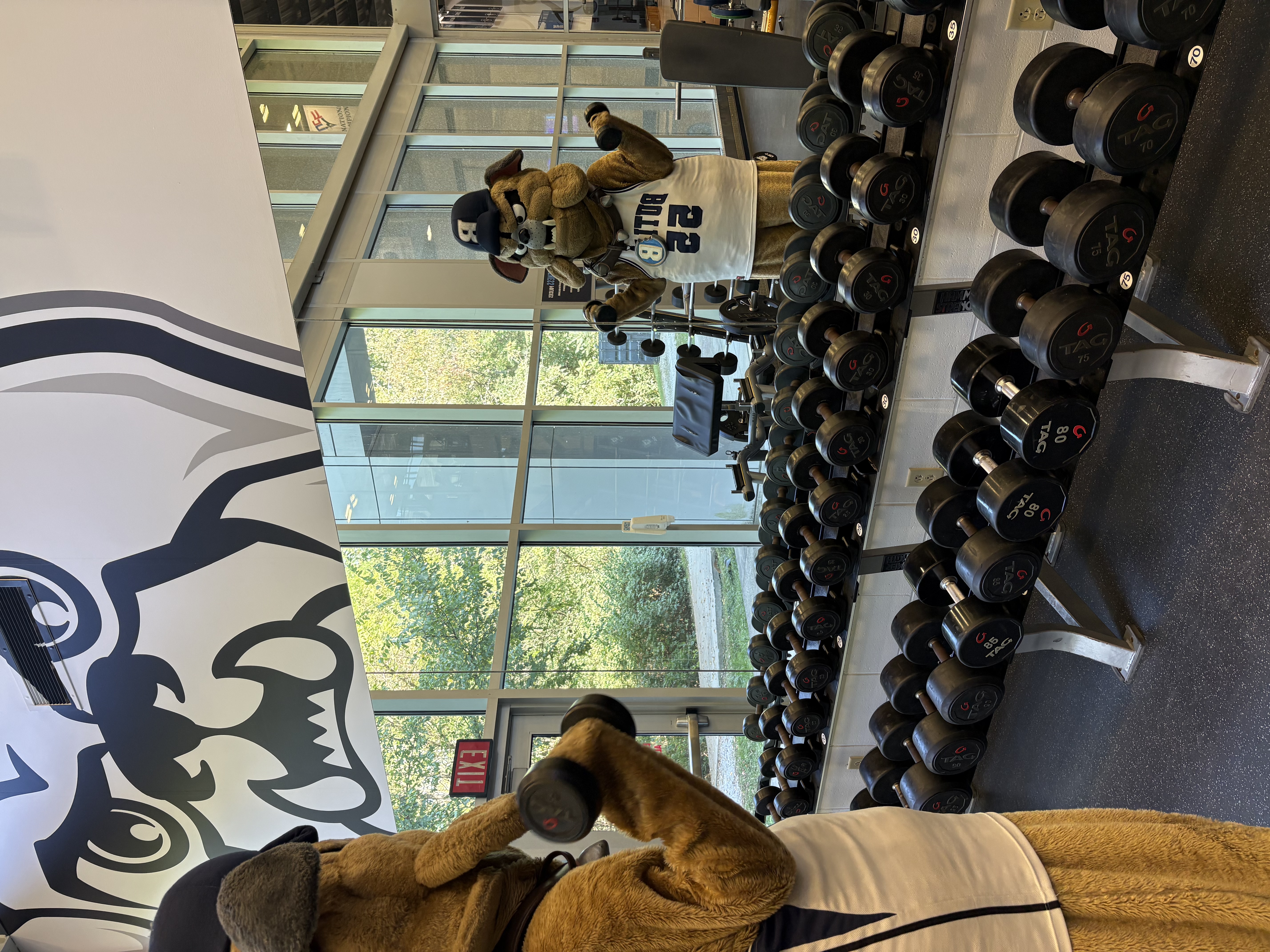 This is a photo of Hink the mascot standing in front of a mirror lifting free weights.