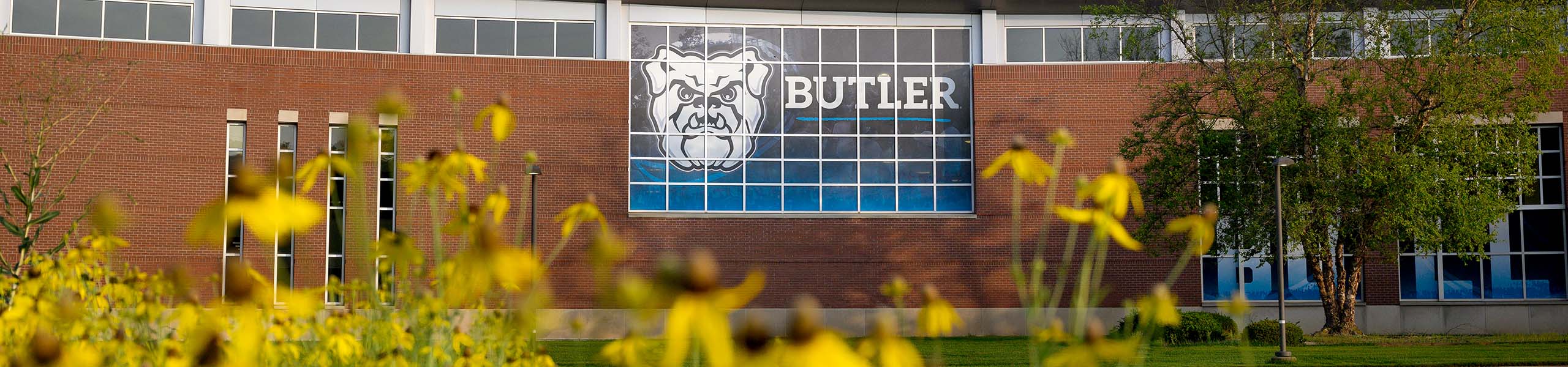 Butler Health and Recreation Complex brick facade with large windows that have bulldog logo and word "Butler" on them being framed in the foreground by many yellow flowers.