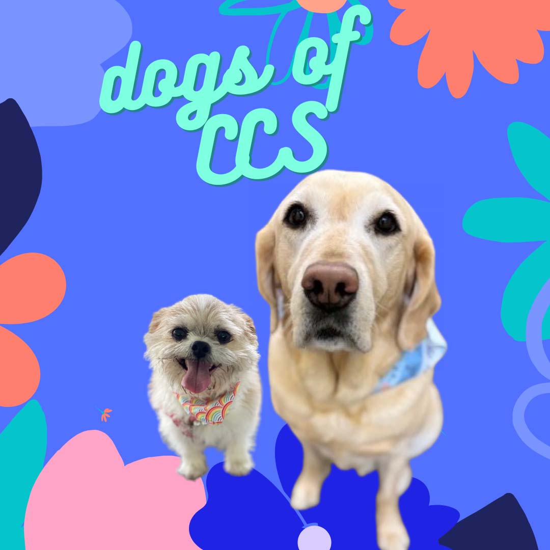 Two friendly-looking dogs used in counseling are superimposed over a swirling floral background with text that says "Dogs of CCS."