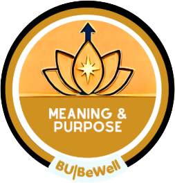 Circular badge with illustration of flower petals with a star and arrow on them, with the words "Meaning & Purpose."