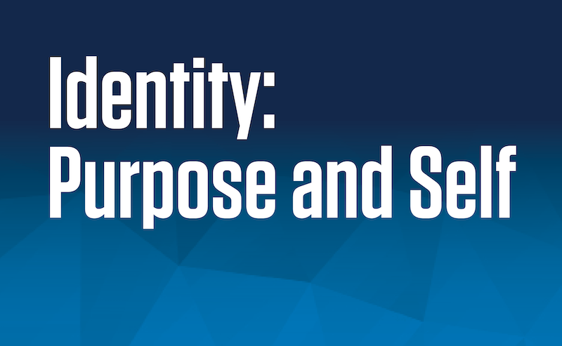 Image that says "Identity: Purpose and Self"