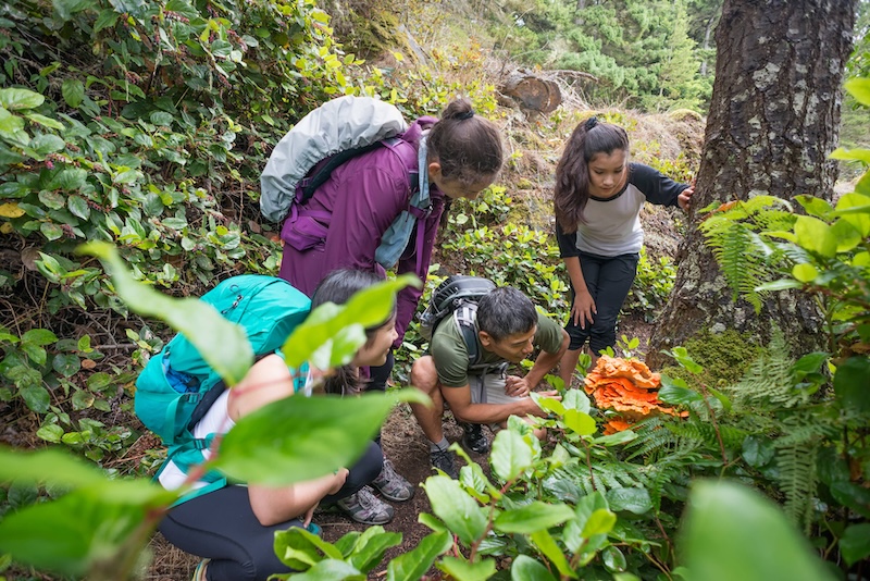 Image of students studying plants in a forest together