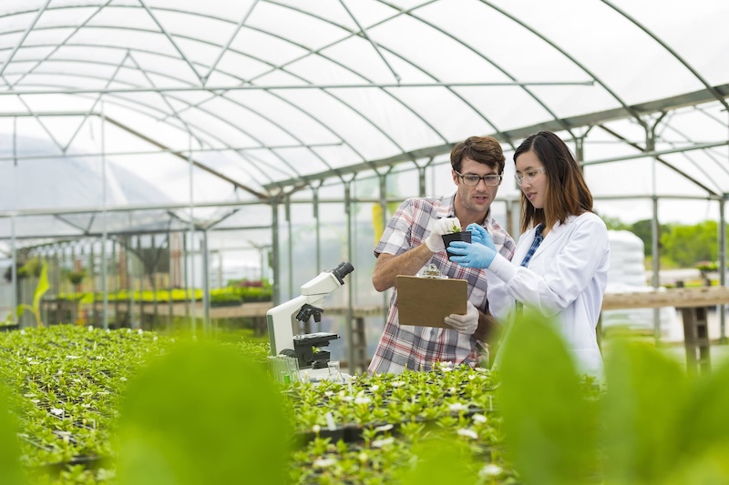 Image of environmental studies students together in a greenhouse