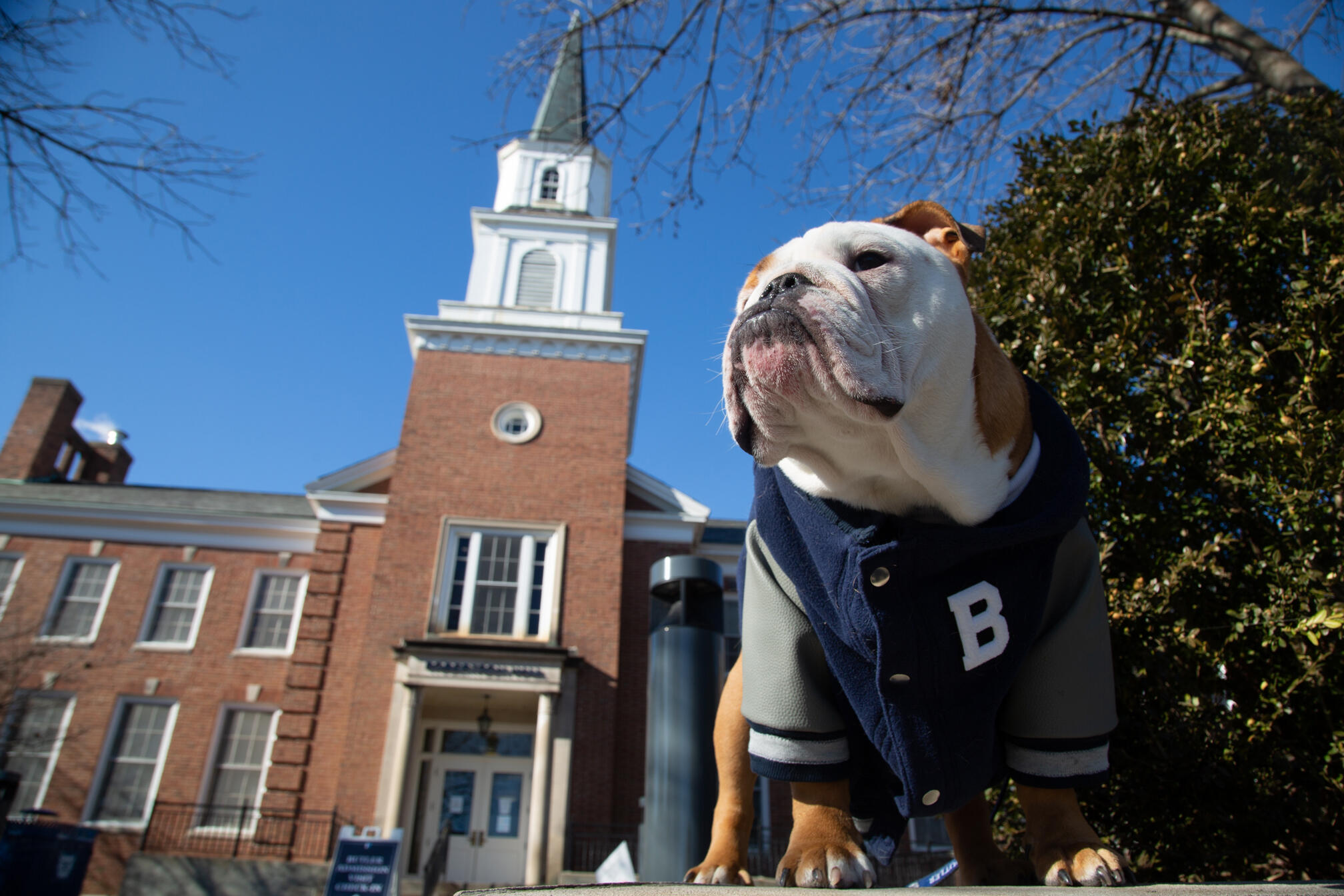 Butler Blue by Robertson Hall