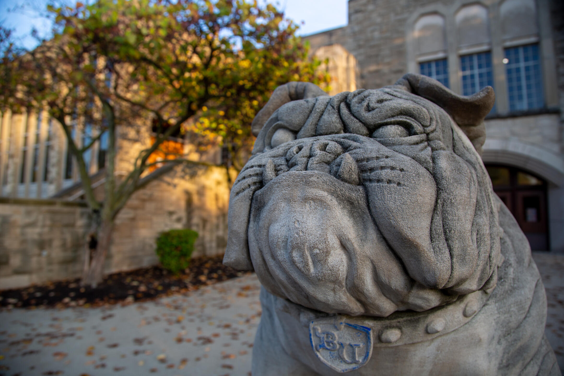 Bulldog statue