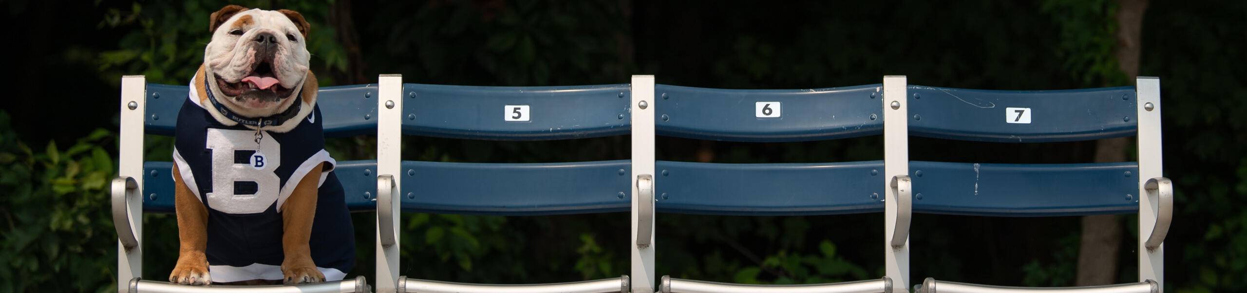 Blue at the Hinkle bus stop