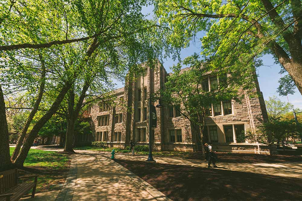 Dappled sunlight through the trees in a shady courtyard space outside a limestone academic building.