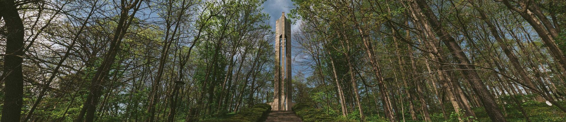 A break in the woods reveals a tall carillon tower.