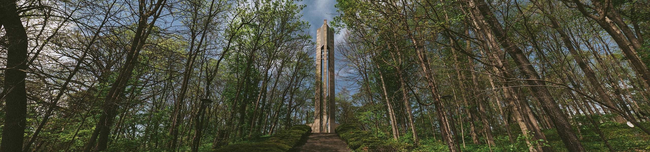 A break in the woods reveals a tall carillon tower.