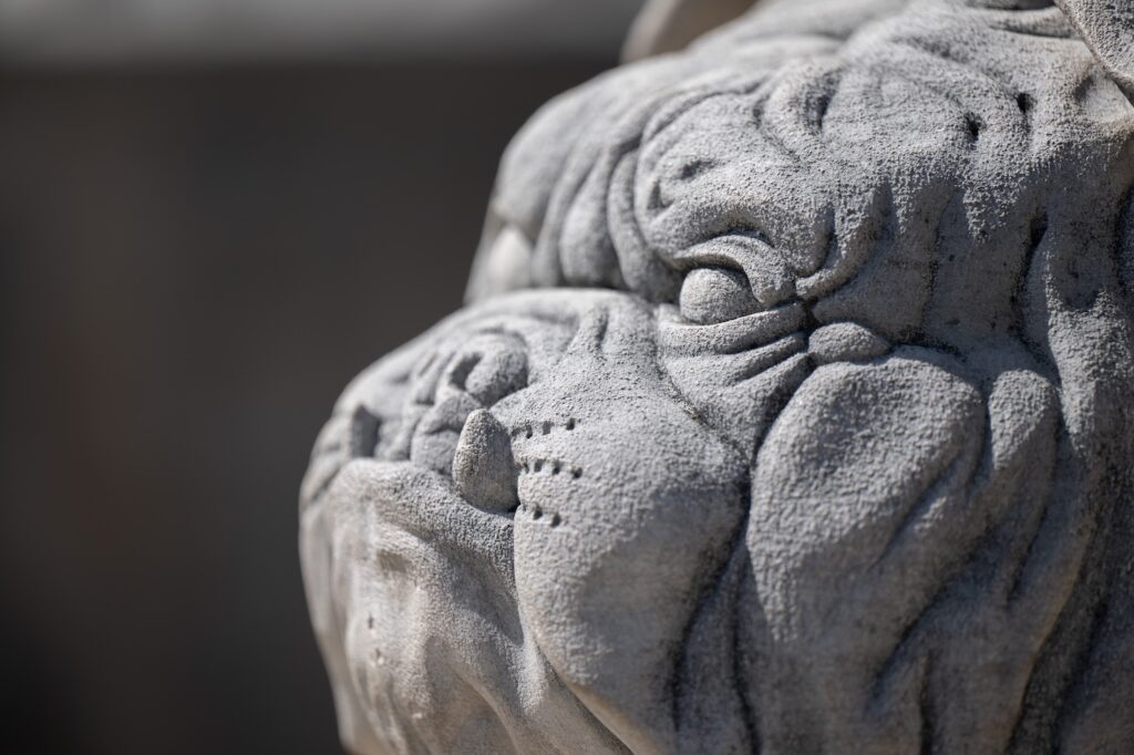 A black and white photo of the Butler Bulldog statue at Atherton Union.