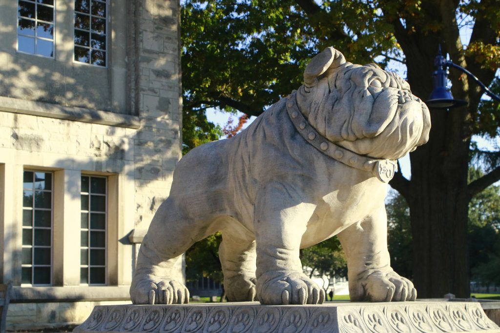 bulldog statue