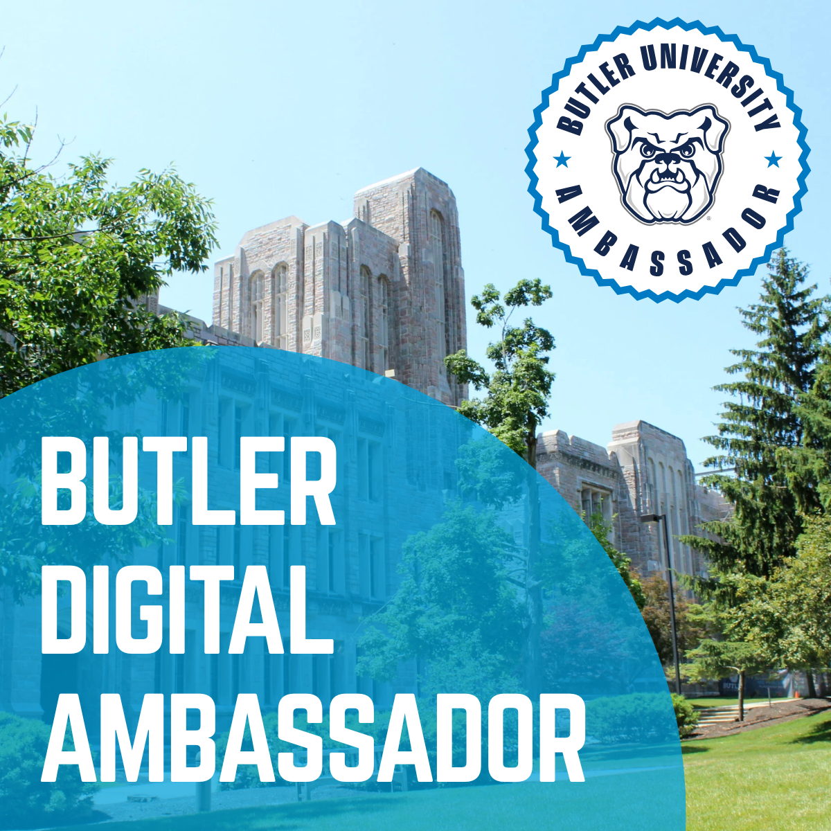 Square graphic with ‘Belonging Ambassador’ text over a Butler background in blue.